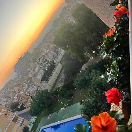 Seaviev * 托雷维耶哈