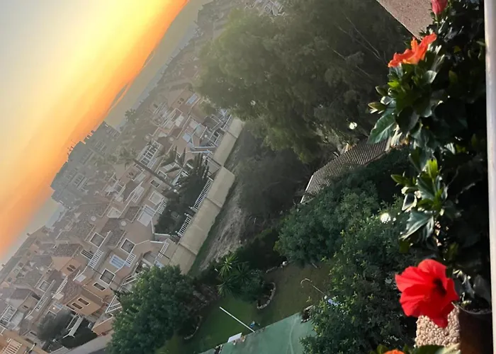 Seaviev * تورّيفيِخا